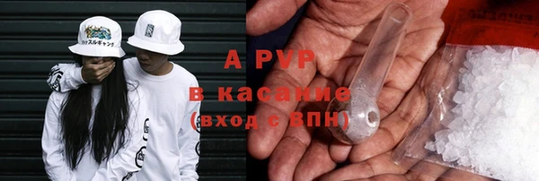 стаф Баксан