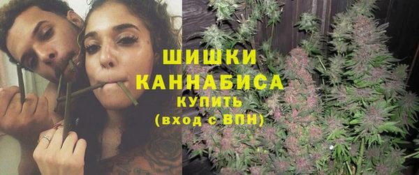 ПСИЛОЦИБИНОВЫЕ ГРИБЫ Осташков