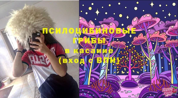стаф Баксан