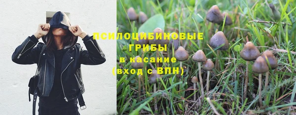 соль курить ск Арсеньев