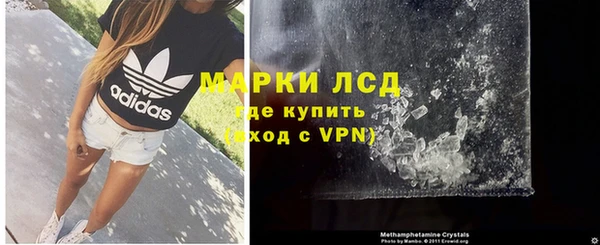 стаф Баксан