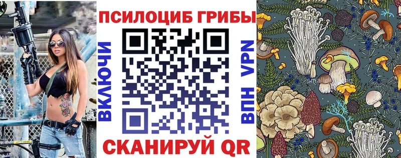 купить закладку  blacksprut зеркало  Псилоцибиновые грибы Cubensis  Куса 